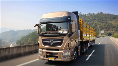 DSM摄像头：智能守护，安全无忧！